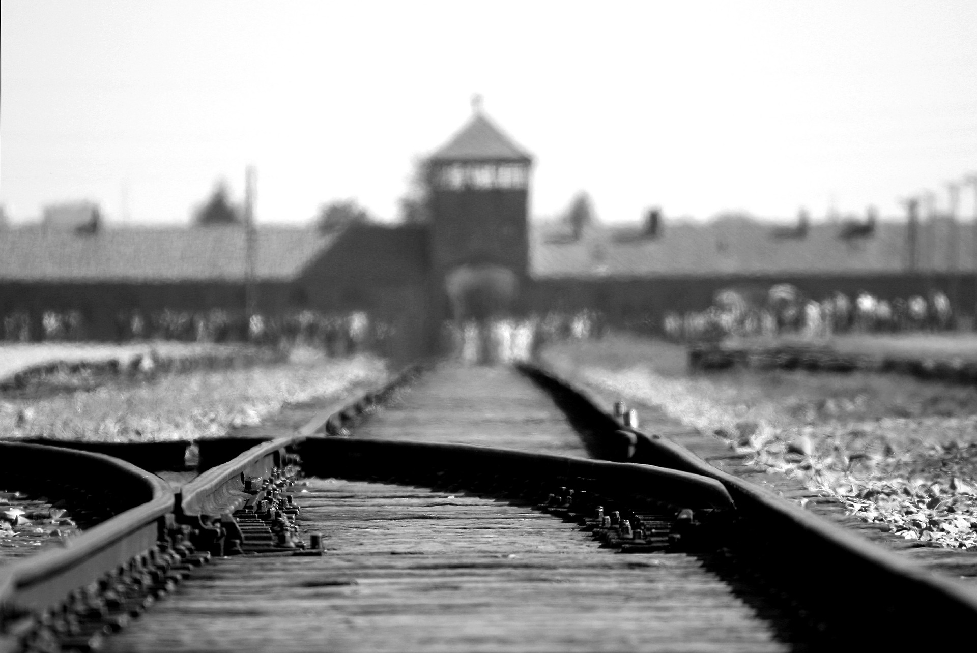 #WEREMEMBER internationaler Holocaustgedenktag 27. Januar